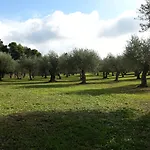 Bed and Breakfast Serra E Mesu 4*