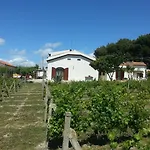 Serra E Mesu Bed and Breakfast