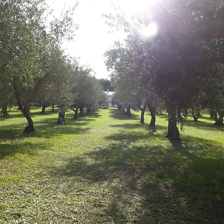 לינה וארוחת בוקר Serra E Mesu 3*