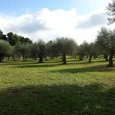 לינה וארוחת בוקר Serra E Mesu 3*