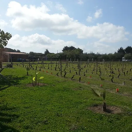 Serra E Mesu Magomadas