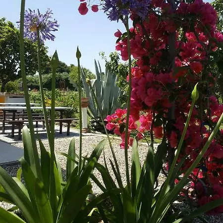 לינה וארוחת בוקר Serra E Mesu