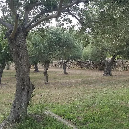 Serra E Mesu Affittacamere Bed & Breakfast *