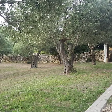 Bed & Breakfast Serra E Mesu Affittacamere