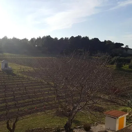 Serra E Mesu Affittacamere * Magomadas