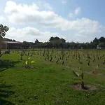 Serra E Mesu Affittacamere Magomadas