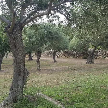 לינה וארוחת בוקר Serra E Mesu Magomadas