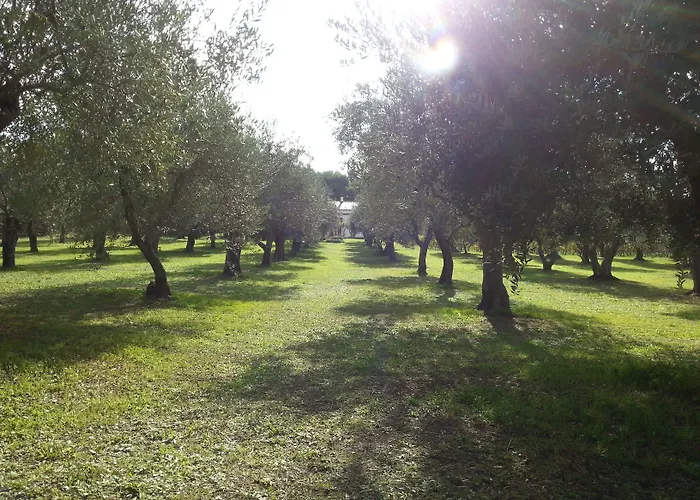 Bed & Breakfast Serra E Mesu Affittacamere 3*