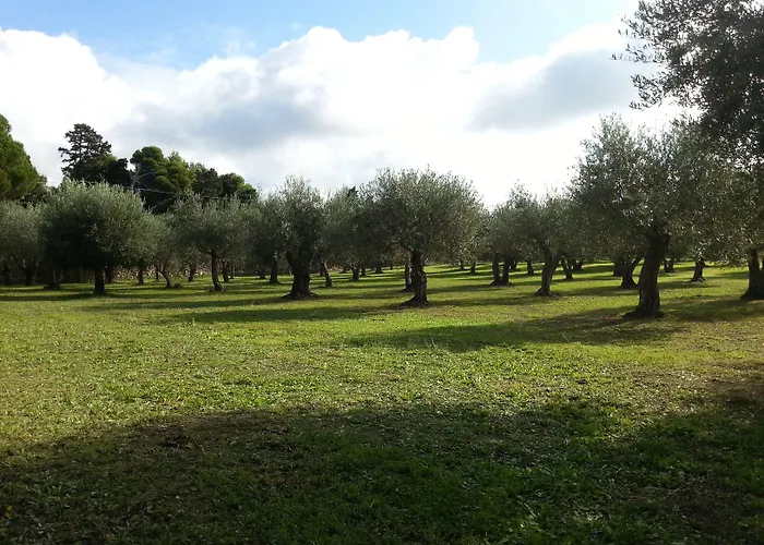 Bed & Breakfast Serra E Mesu Affittacamere 3*