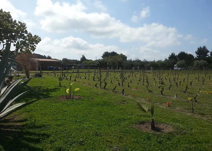 Serra E Mesu Affittacamere Magomadas