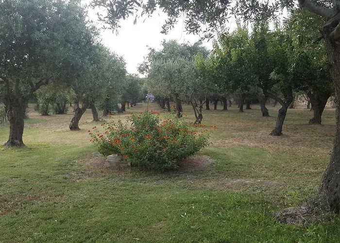 Serra E Mesu Affittacamere