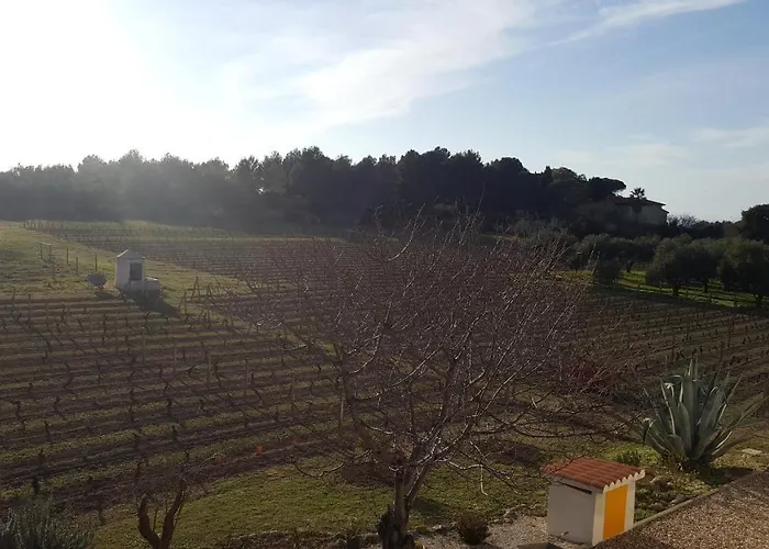 Serra E Mesu Affittacamere 3* Magomadas